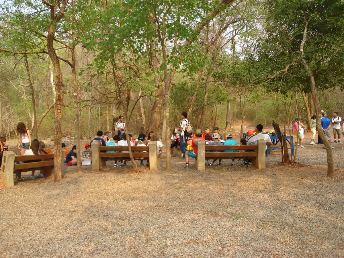 Planejamento de uma experiência educacional em parceria com a equipe da instituição.