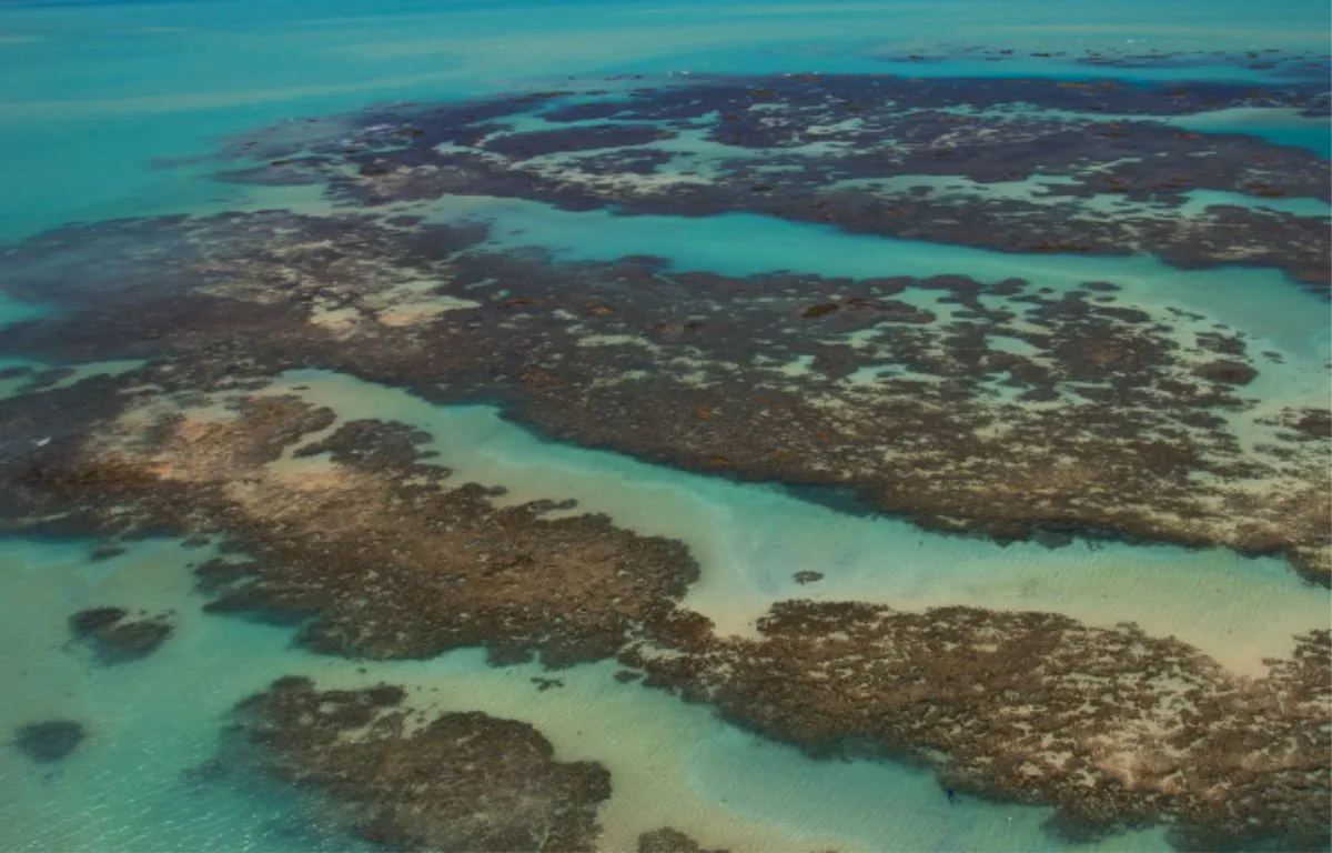 Capa do projeto Alagoas