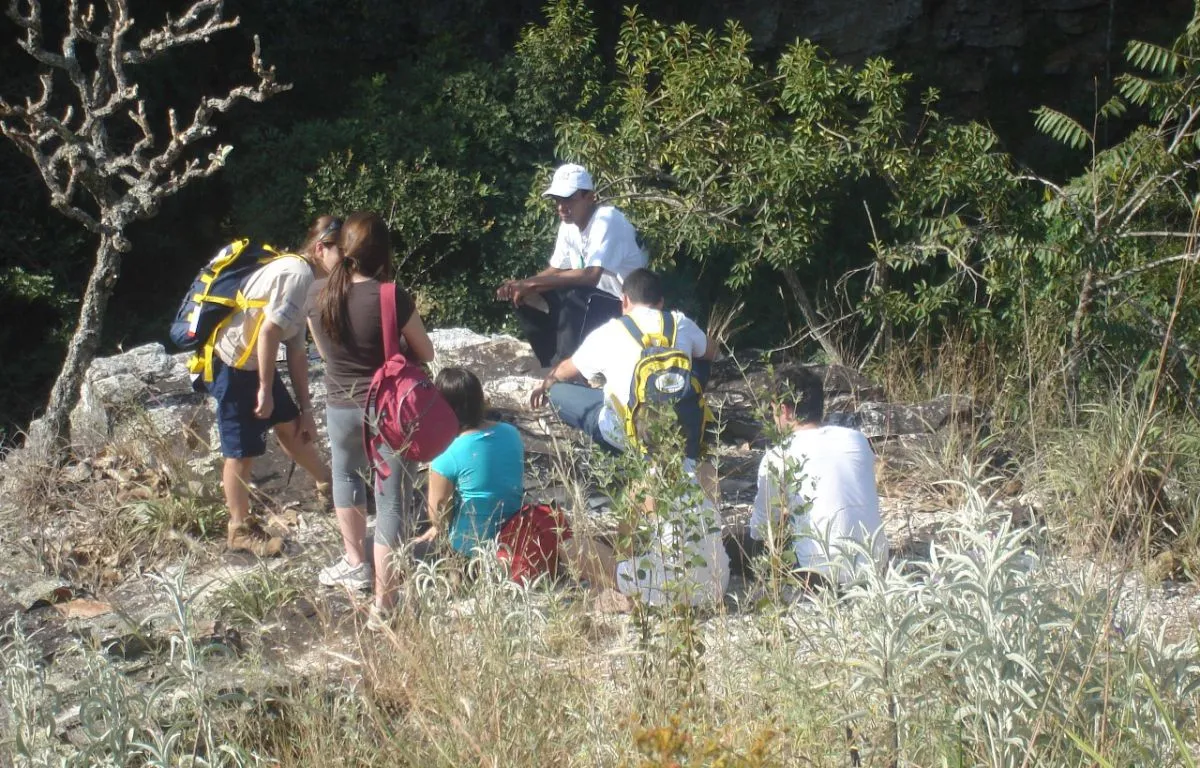 Capa do projeto Cerrado de Capitólio