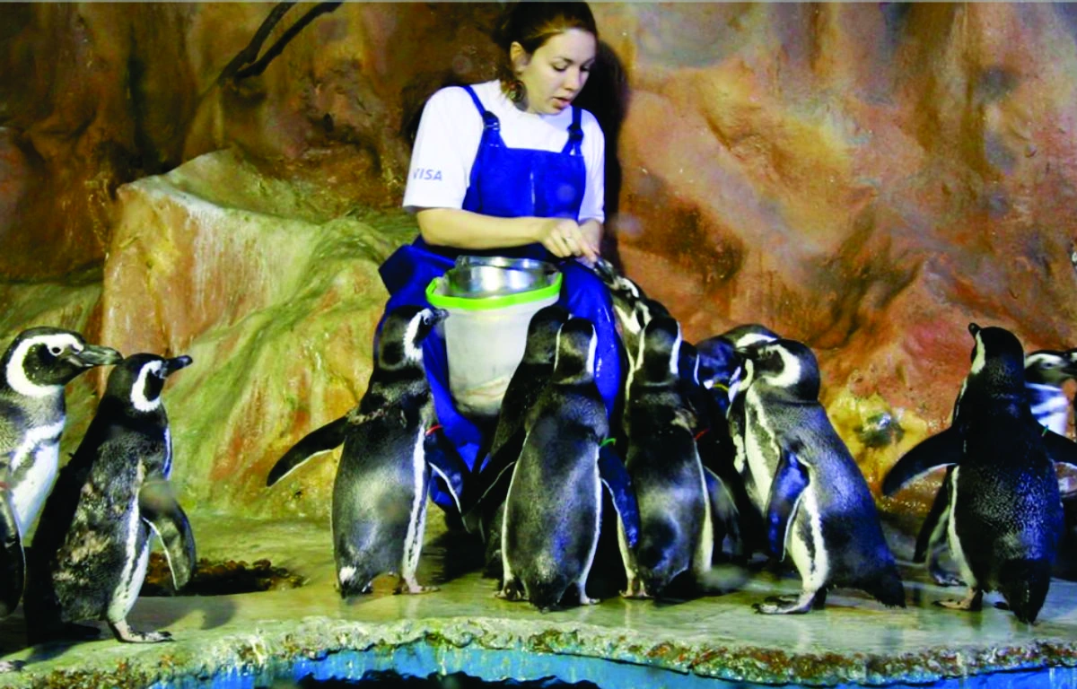 Acqua Mundo- Educar Turismo Pedagógico