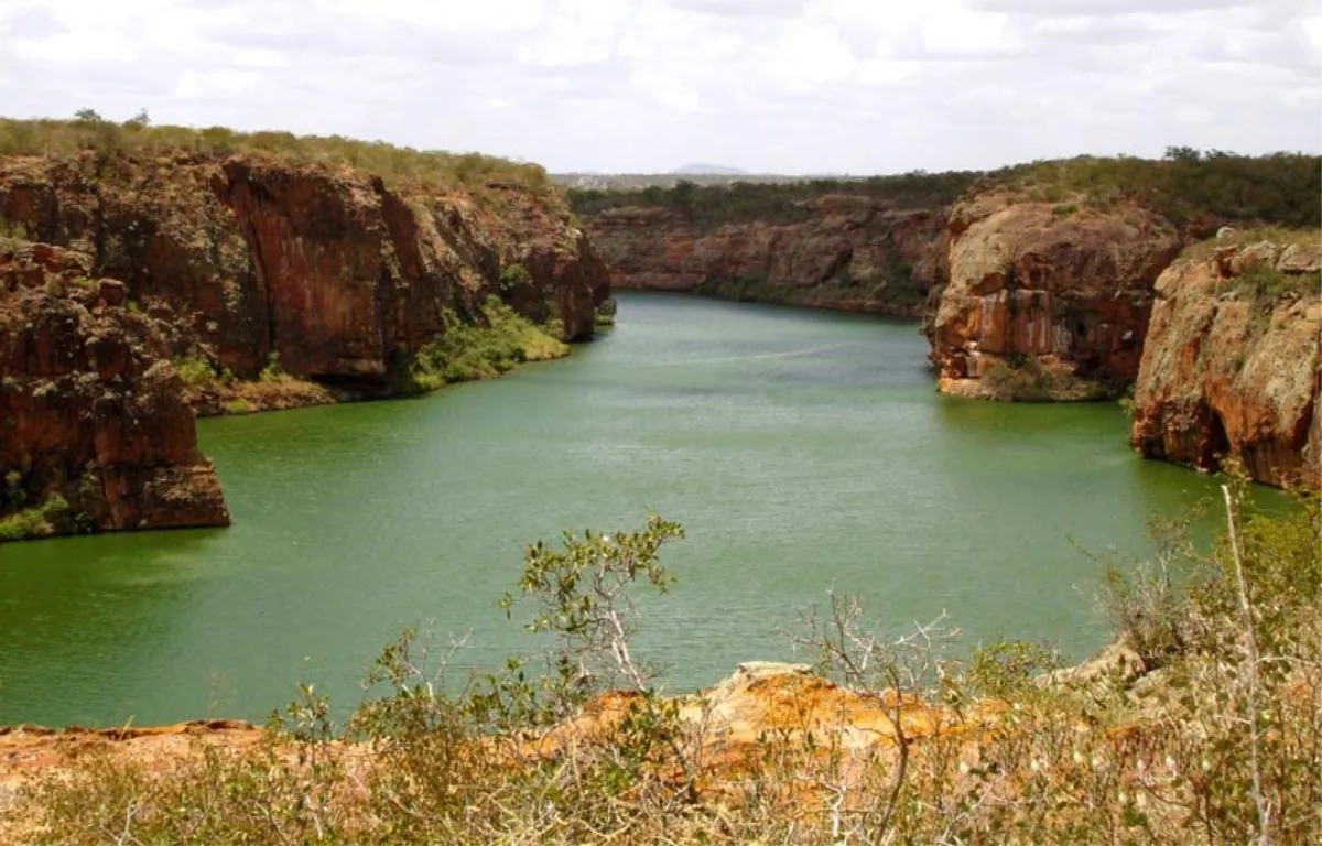Projeto Caatinga - Educar Turismo Pedagógico